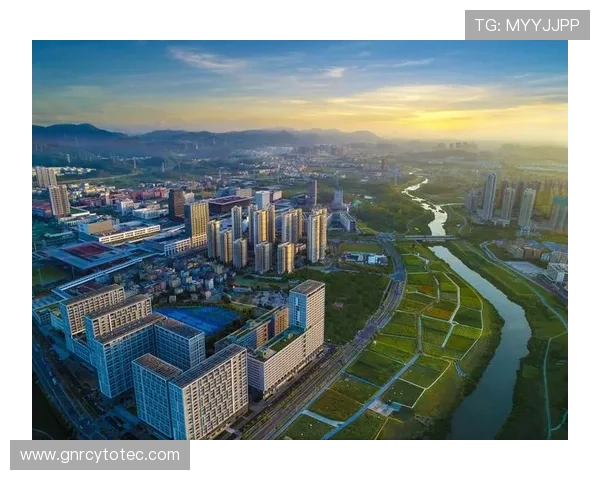 万事博体育娱乐平台的未来发展规划，持续创新带来更优体验